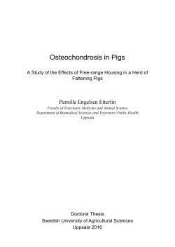 Osteochondrosis in Pigs - Epsilon Open Archive
