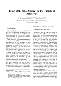 Effect of the Silica Content on Digestibility of Rice Straw