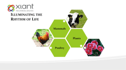 to view the presentation