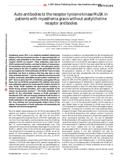 Basic article about anti MuSK myasthenia