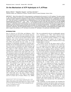 On the Mechanism of ATP Hydrolysis in F1