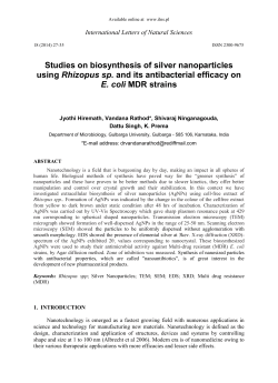 Studies on biosynthesis of silver nanoparticles using Rhizopus sp