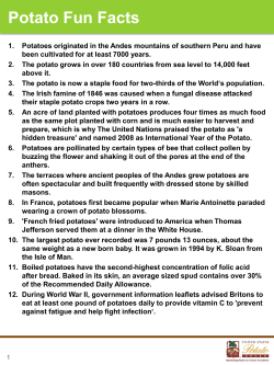 Potato Fun Facts