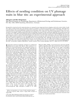 Effects of nestling condition on UV plumage traits in blue tits: an