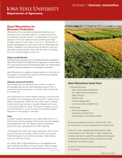 factsheet | biomass: miscanthus - Extension Store
