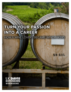 How 6 wine lovers became winemakers