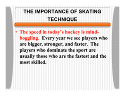 Mite Skating Technique