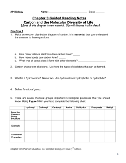 Chapter 3 Guided Reading Notes Carbon and the Molecular