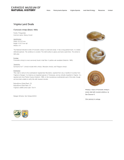 Mollusks : Carnegie Museum of Natural History