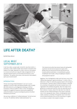 041641 WERKSMANS legal brief life after death.indd