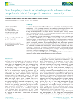 Dead fungal mycelium in forest soil represents a decomposition