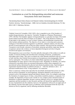 Lamination as a tool for distinguishing microbial and metazoan