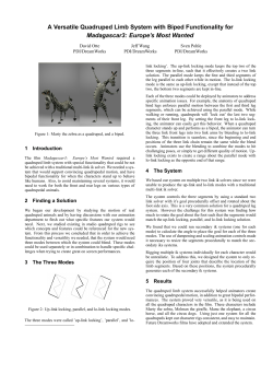A Versatile Quadruped Limb System with Biped Functionality for