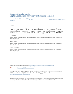 Investigation of the Transmission of Mycobacterium bovis from Deer