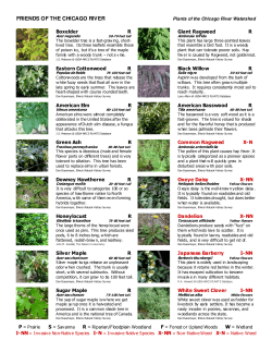 FRIENDS OF THE CHICAGO RIVER