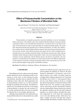 Effect of Polysaccharide Concentration on the Membrane Filtration