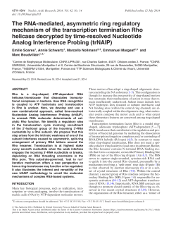 The RNA-mediated, asymmetric ring regulatory mechanism of the