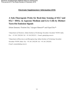 A Solo Fluorogenic Probe for Real