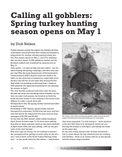 Calling all gobblers: Spring turkey hunting season opens on May 1