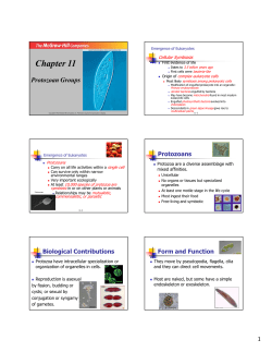 Chapter 11 Slides pages
