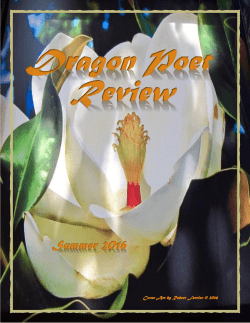 Dragon Poet Review
