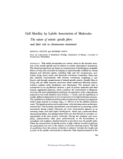 Cell Motility by Labile Association of Molecules