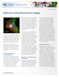 Multicolor Immunofluorescence Imaging