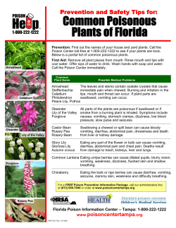 Plant Information Flyer - Florida Poison Information Center