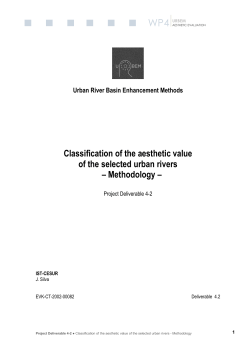 Classification of the aesthetic value of the selected urban
