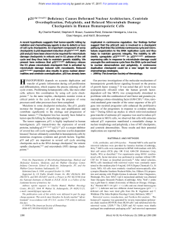 p21cip-1/waf-1 Deficiency Causes Deformed