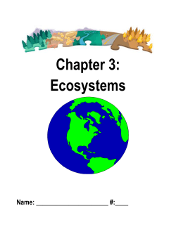 Chapter 3 Study Guide