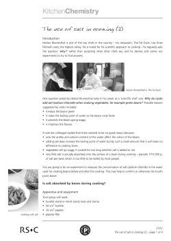 02 Student Sheet salt 2