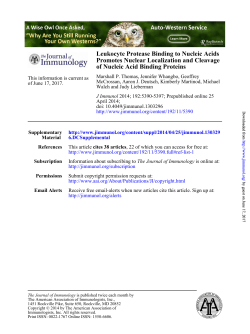 of Nucleic Acid Binding Proteins Promotes Nuclear Localization and