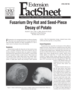 Fusarium dry rot and seed-piece decay of potato - OARDC