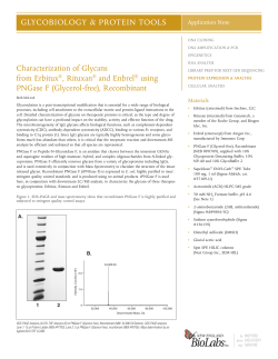 Characterization of Glycans from Erbitux, Rituxan and Enbrel