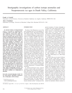 Stratigraphic investigations of carbon isotope anomalies and