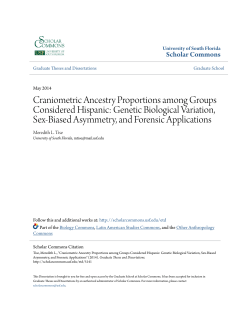 Craniometric Ancestry Proportions among Groups Considered