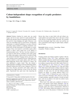 Colour-independent shape recognition of cryptic predators by