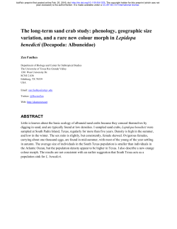 The long-term sand crab study: phenology, geographic size