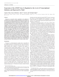 Expression of the hTERT Gene Is Regulated at