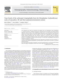 Trace fossils of the arthropod Camptophyllia from the