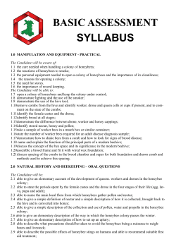 2017 WBKA Basic Assessment Syllabus
