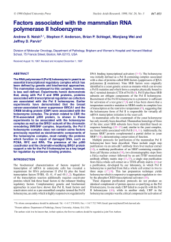 Factors associated with the mammalian RNA