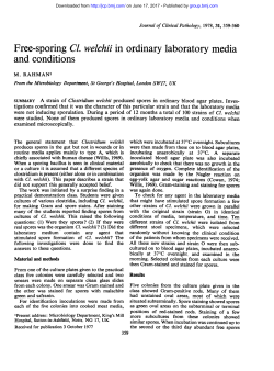 Free-sporing Cl. welchilin ordinary laboratory media