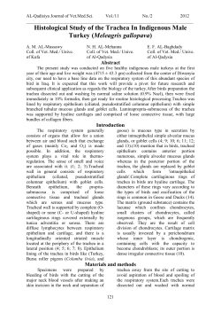 Histological Study of The Trachea