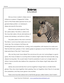 Zebras - Super Teacher Worksheets