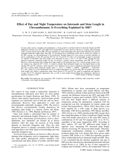 Effect of Day and Night Temperature on Internode and Stem Length
