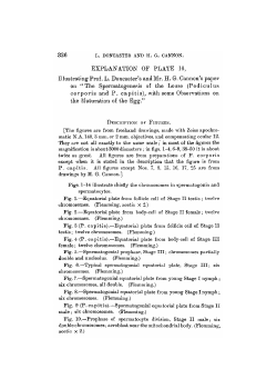 EXPLANATION OF PLATE .16, Illustrating Prof. L. Doncaster`s and