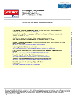 p53 Dynamics Control Cell Fate