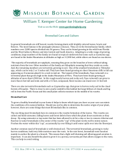 Bromeliad Care and Culture - Missouri Botanical Garden